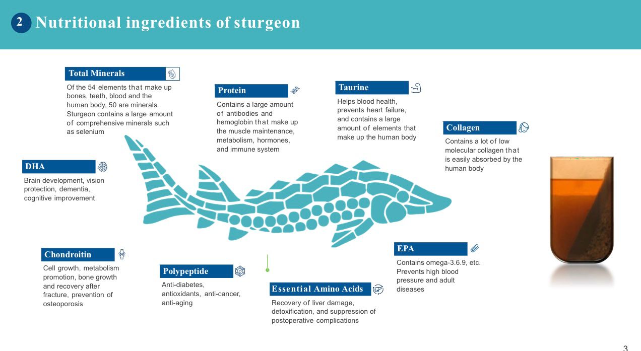 Sturgeon Total Conditioner