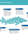 Sturgeon Y-Zone