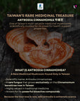 Antrodia Cinnamomea 牛樟芝