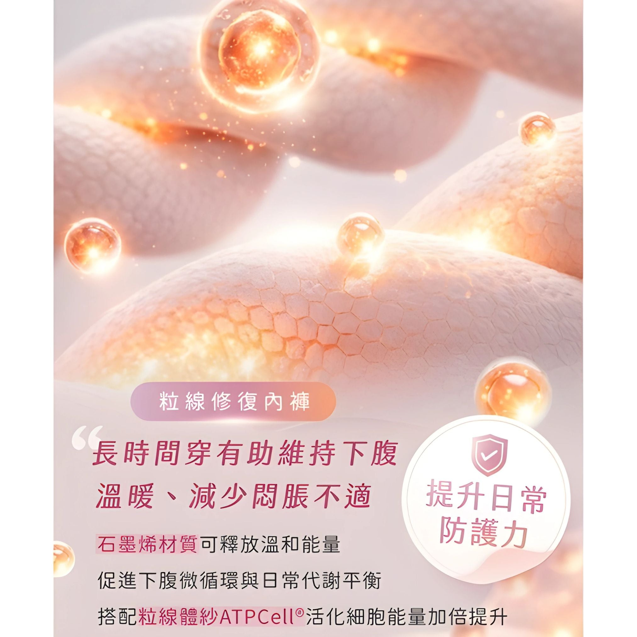 PP Graphene x Mitochondria Repair Panty Set (4pcs/set)